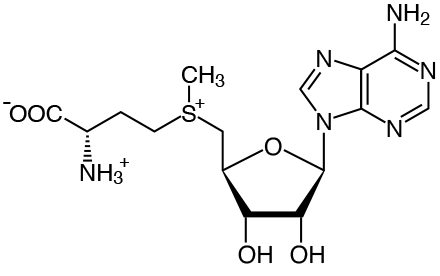 SAMe Strukturformel SAMe Strukturformel