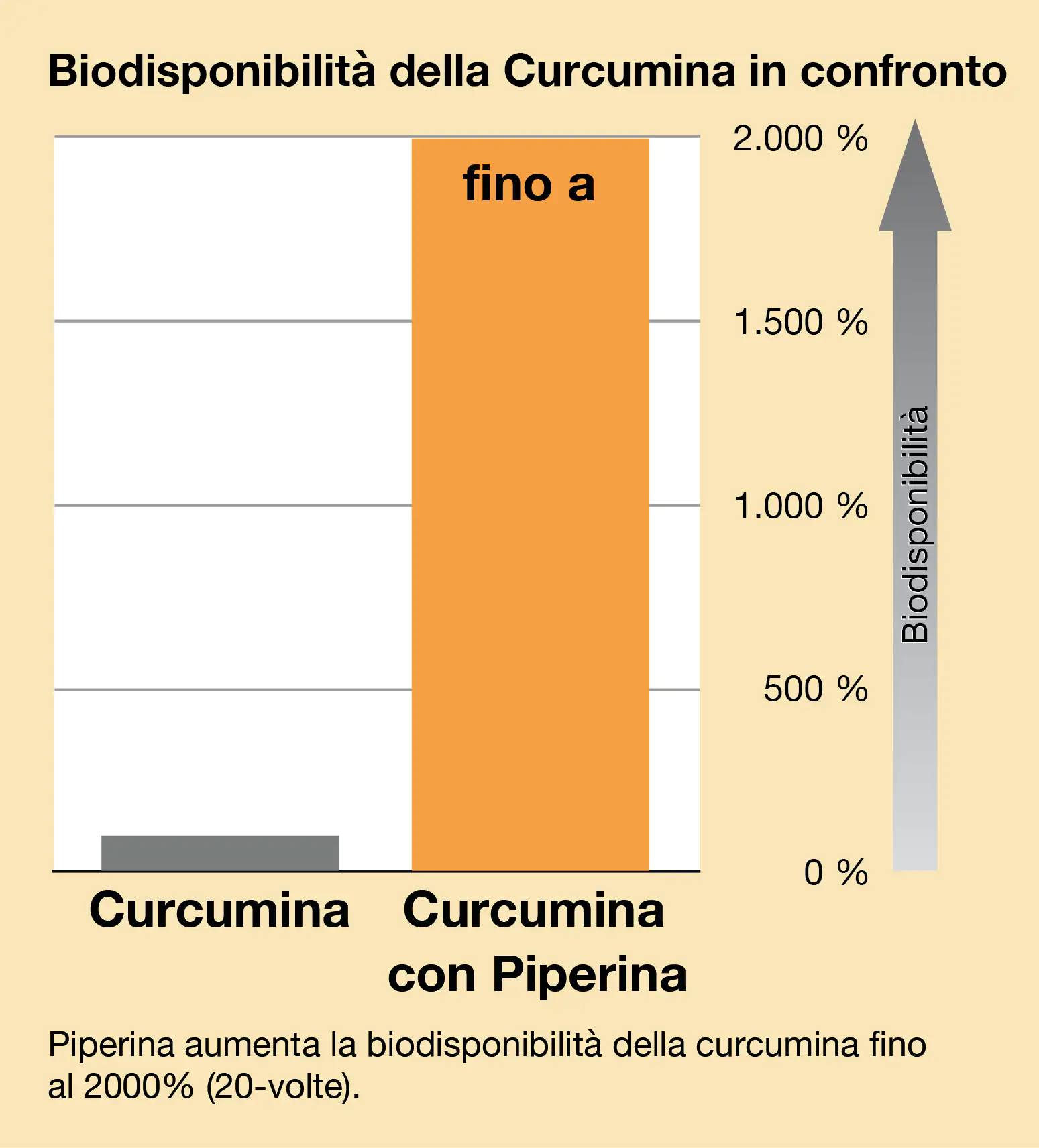 Curcuma Piperin Verfügbarkeit