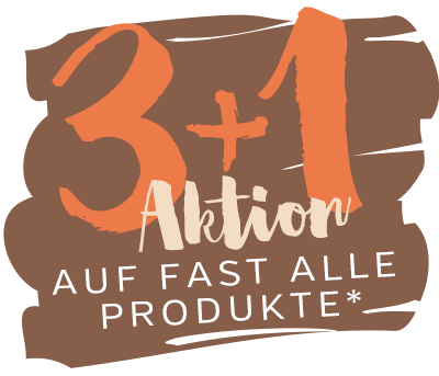 3+1 Winteraktion 2023/24 Info