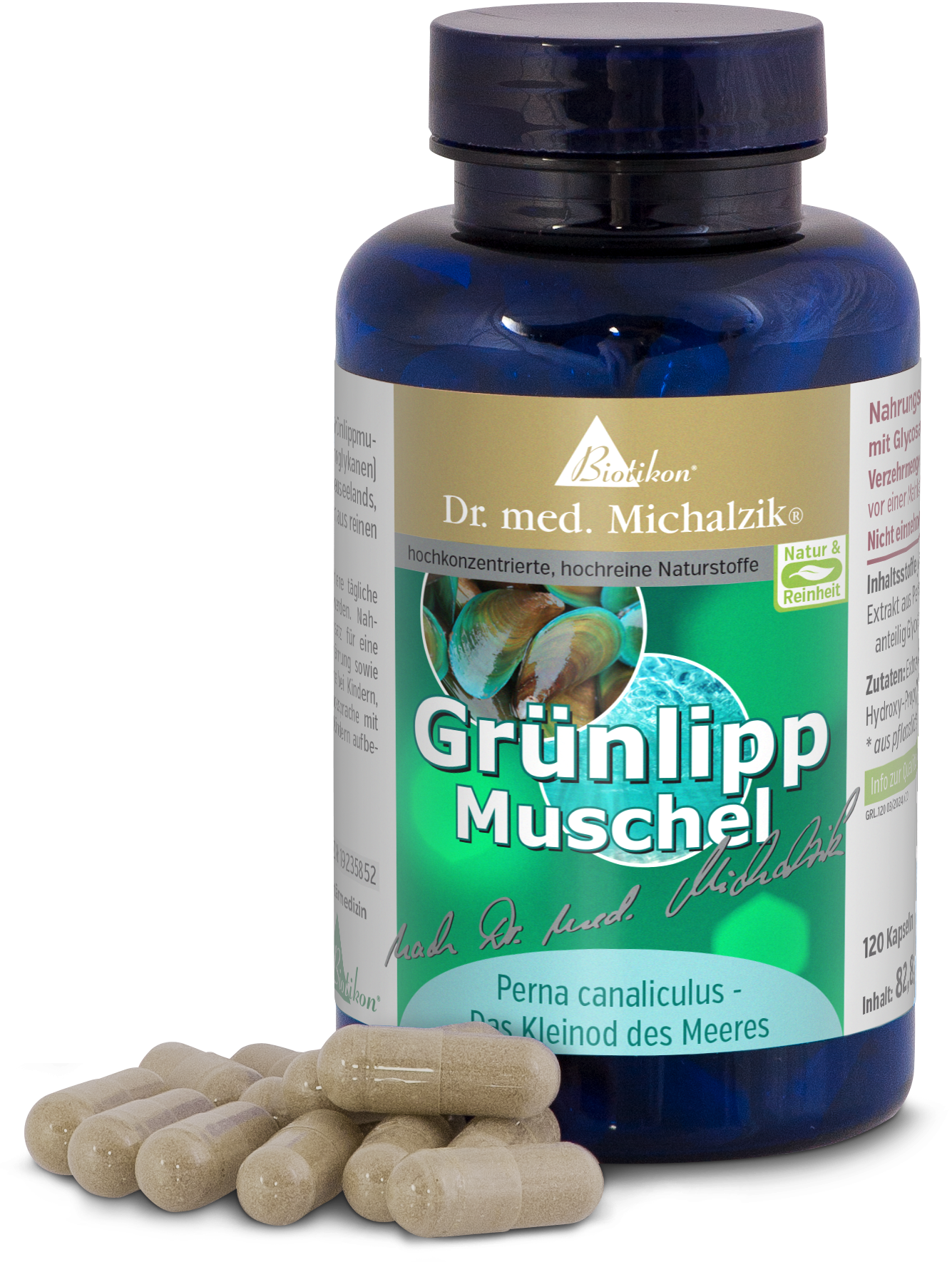 Grünlippmuschel