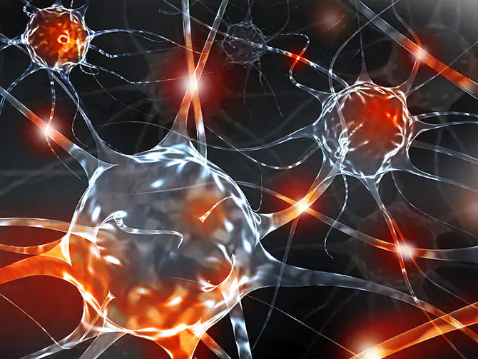 neuronales Netzwerk neuronales Netzwerk