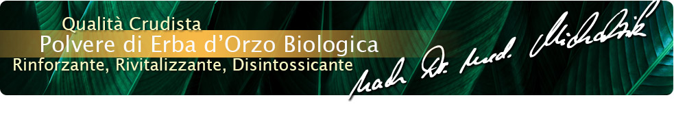 Polvere di erba d'orzo biologica