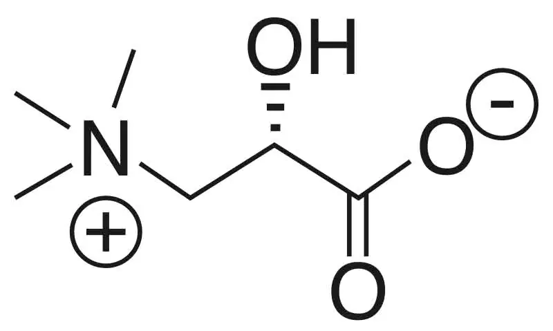 Acetyl-L-Carnitine formule structurelle
