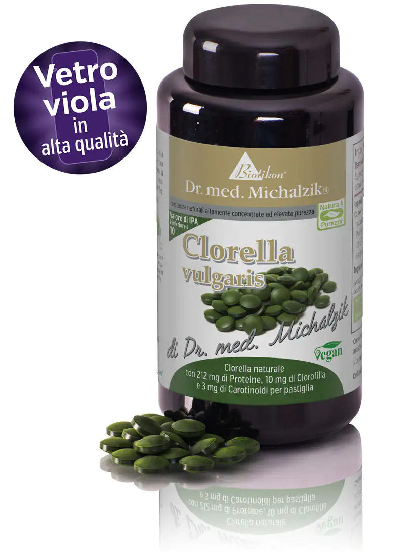 Clorella vulgaris
