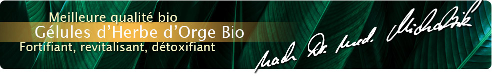 Herbe d'orge bio