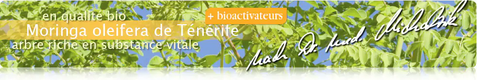 Moringa de Ténérife + bioactivateurs