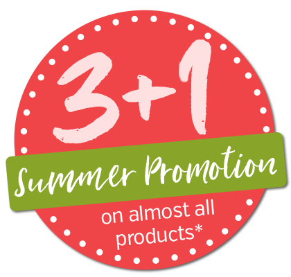 3+1 Sommerkation 2025
