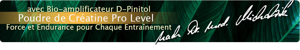 Creatine Pro Level Poudre