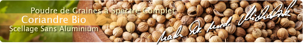 Coriandre biologique
