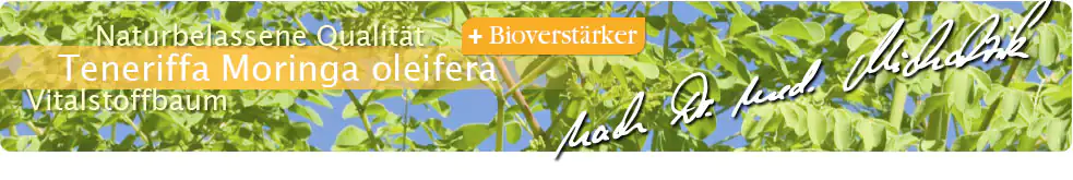 Moringa aus Teneriffa + Bioverstärker
