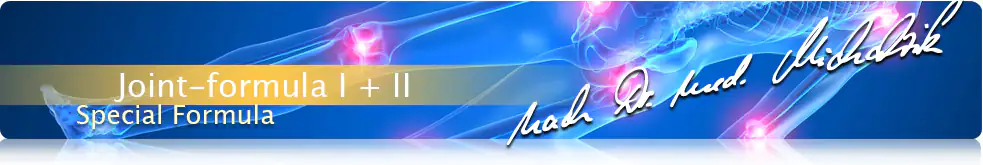 Joint Formula I + II