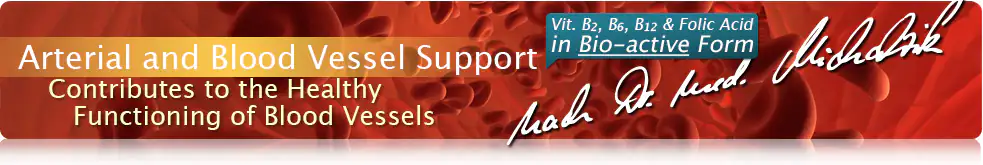 Arterial and Blood Vessel Support