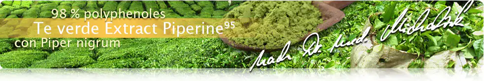 Tè verde estratto