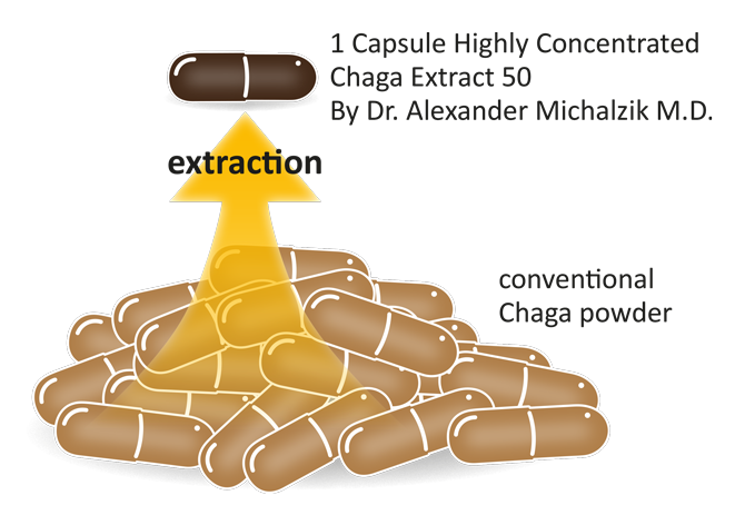 Chaga-Extrakt 50