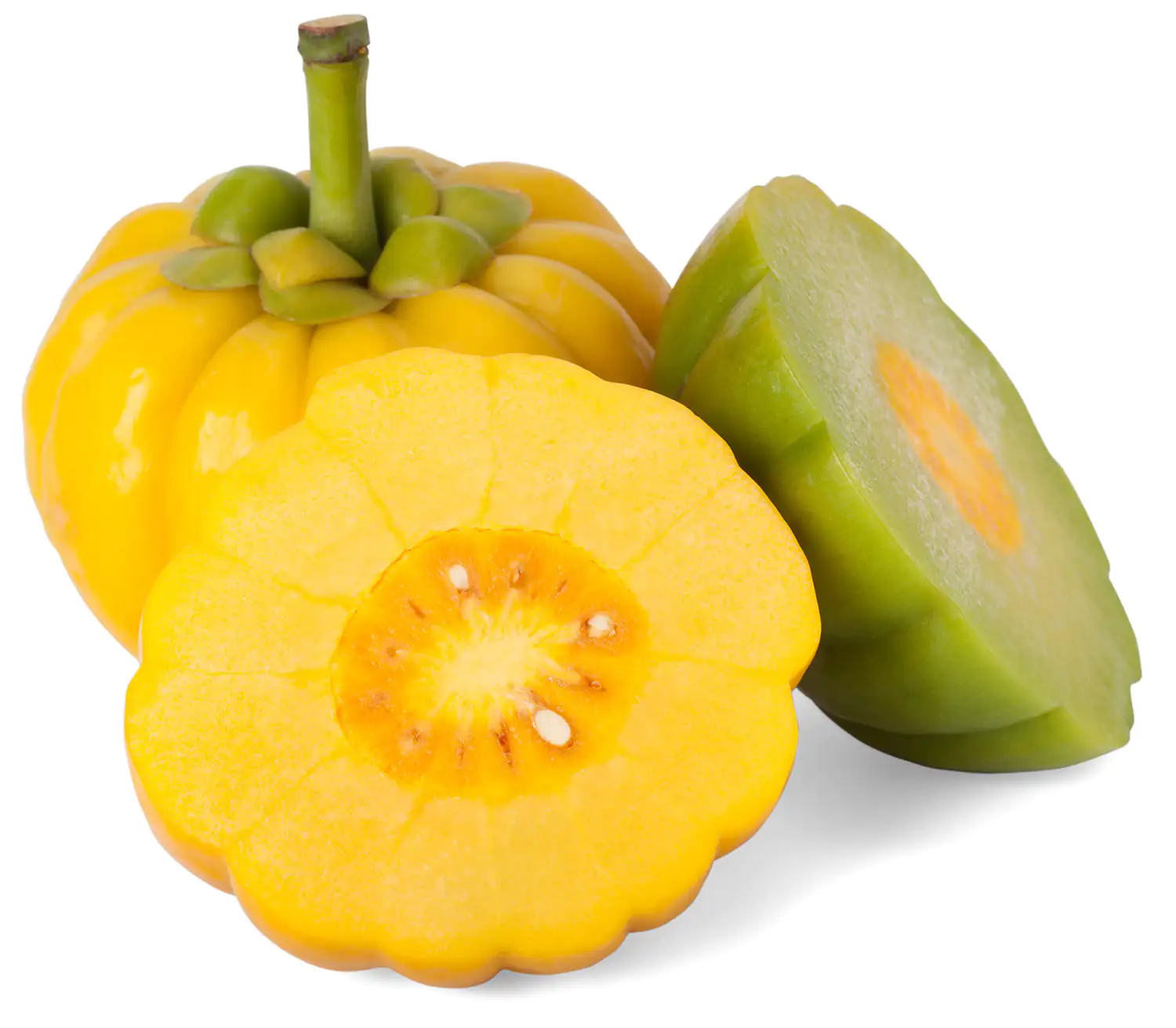 Garcinia cambogia fruit