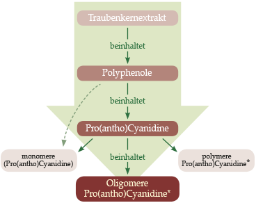 OPC Konzentrierungsprozess