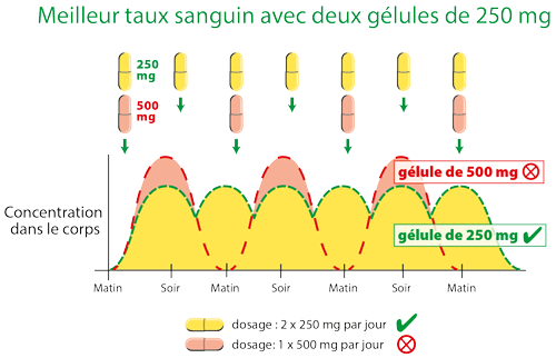 Bioverfügbarkeit von Quercetin