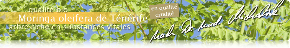 Moringa de Ténérife