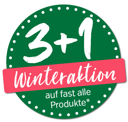 3+1 Winteraktion 2025
