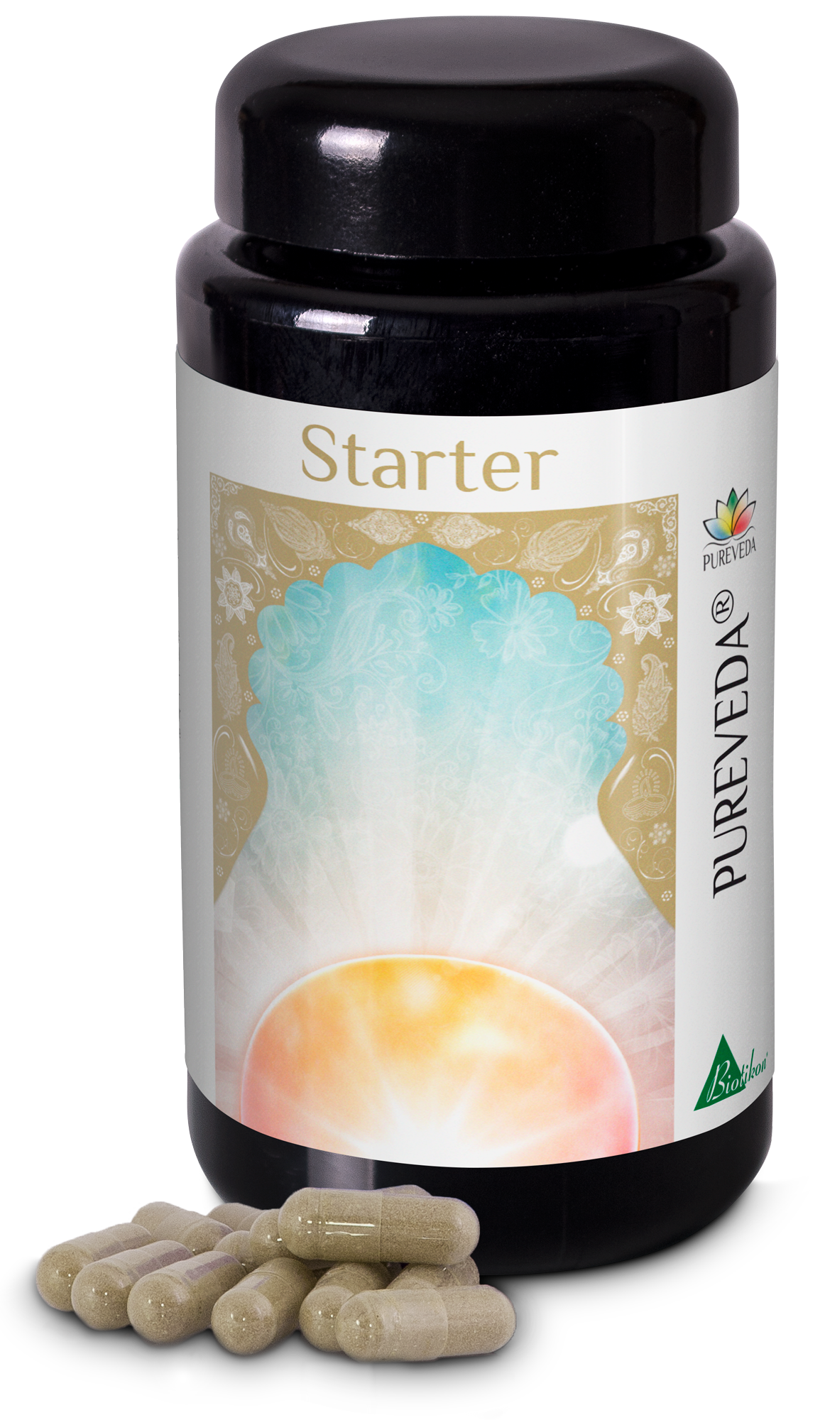 Starter Starter