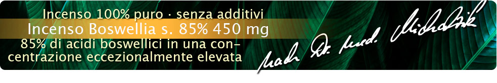 Incenso (Bosw. s.) 85% – 45 mg by Dr. med. Michalzik