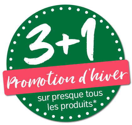 3+1 promotion d´hiver 2025
