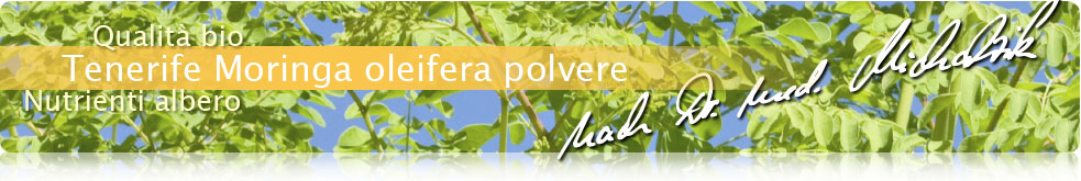 Moringa in polvere da Tenerife