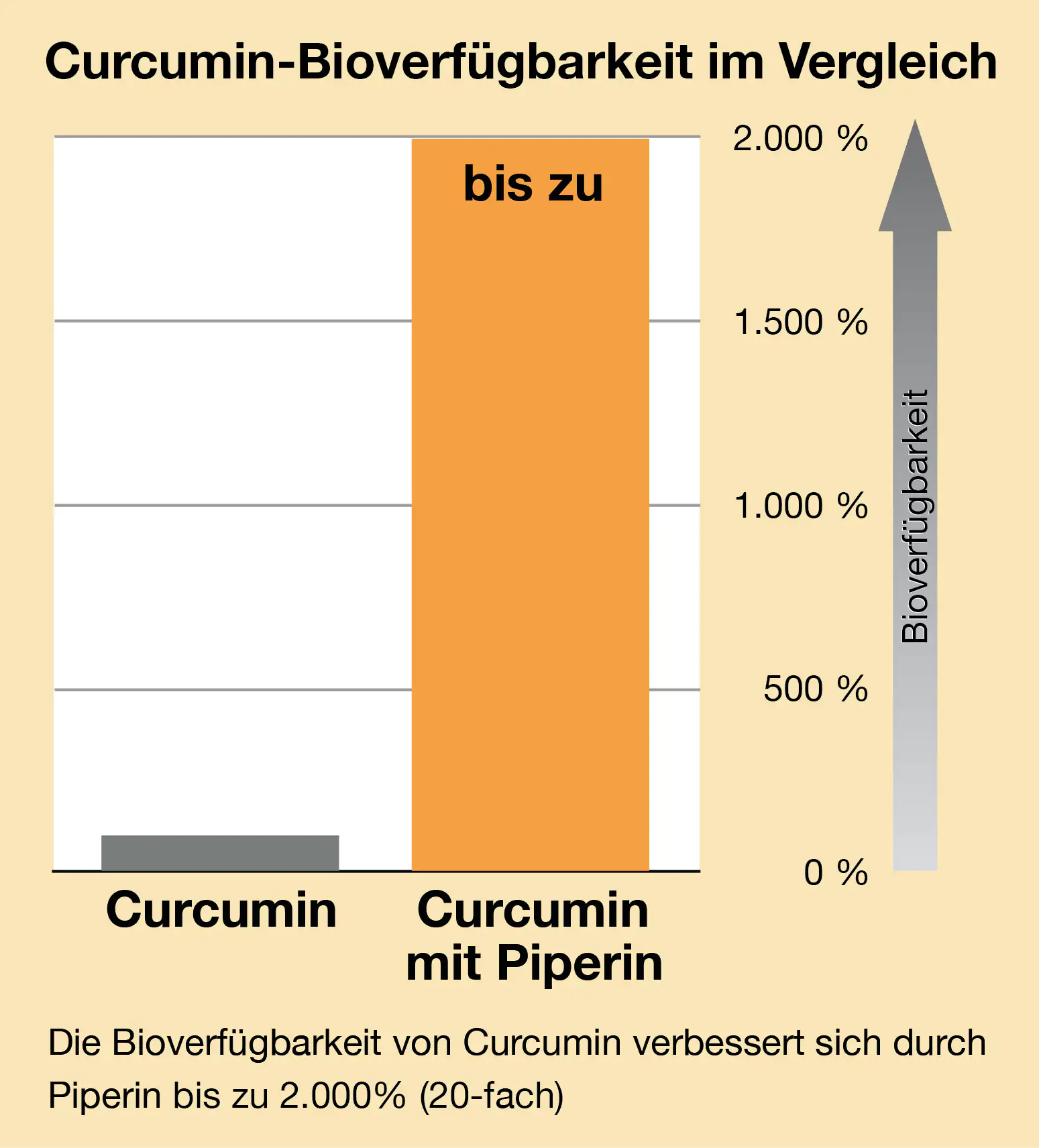 Curcuma Piperin