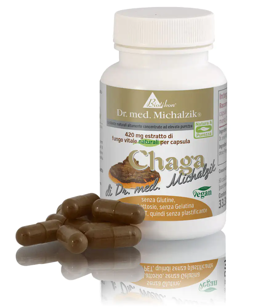 Chaga