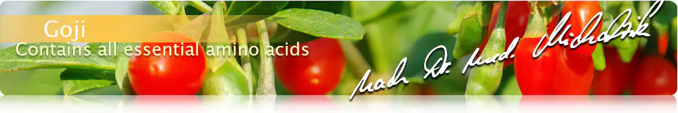 Goji