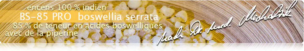 Encens boswellia BS-85 PRO