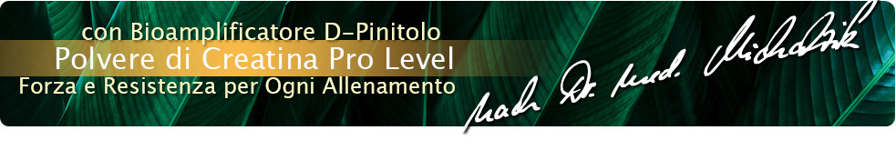 Creatine Pro Level Polverina