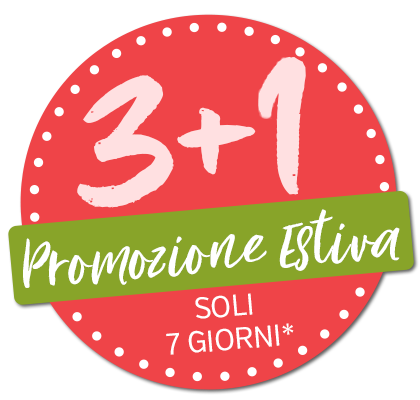 3+1 Sommerkation 2025