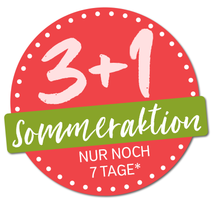 3+1 Sommerkation 2025