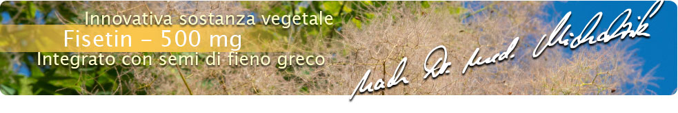 Fisetin nach Dr. med. Michalzik