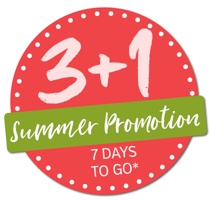3+1 Sommerkation 2025