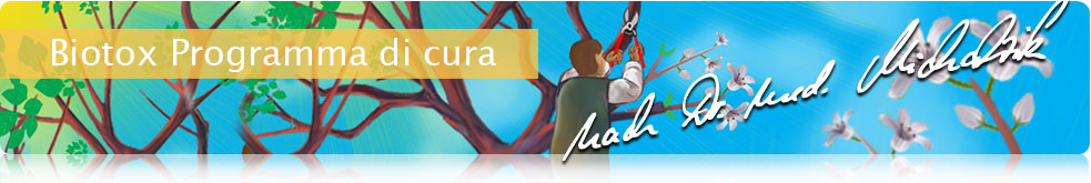 Biotox Programma di Cura