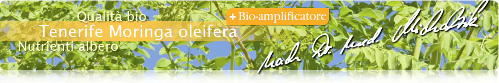 Moringa da Tenerife + Bio amplificatore