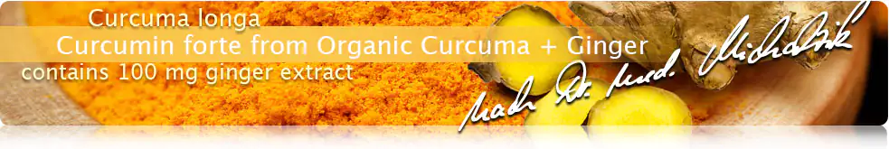Curcumin forte from Organic Curcuma + Ginger