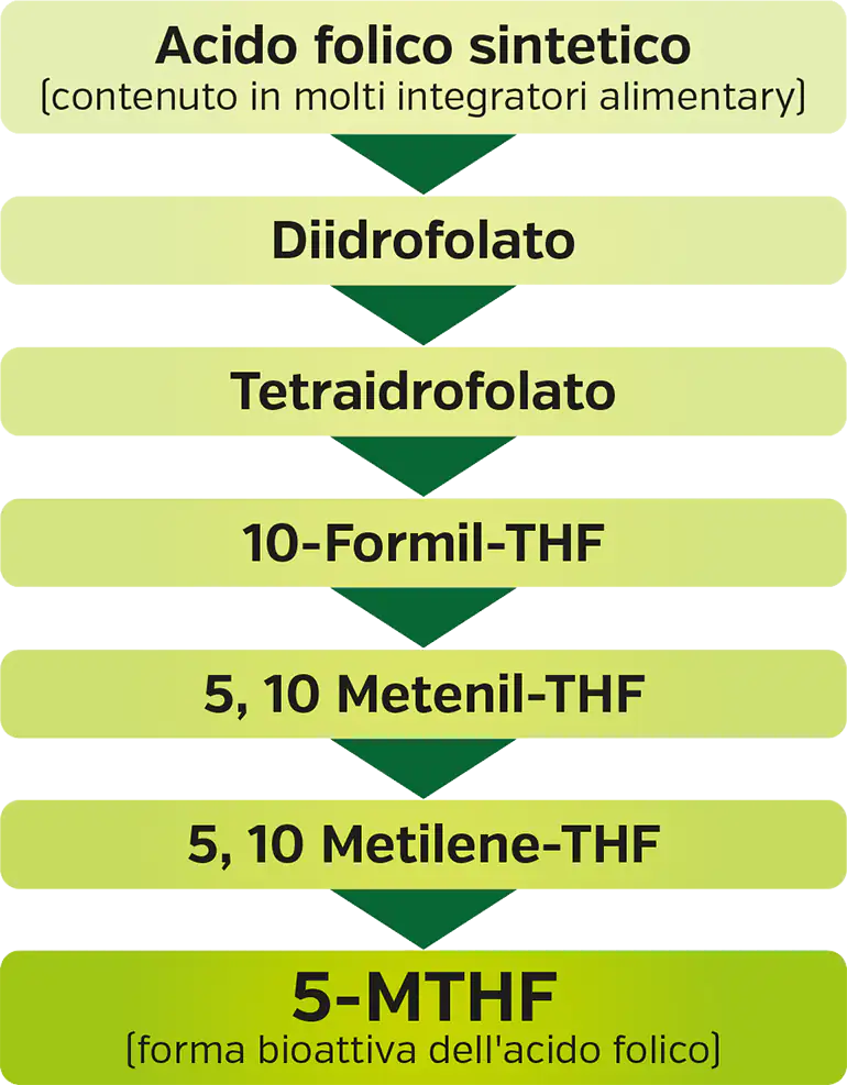 Acido folico bioattiva (vitamina B9)
