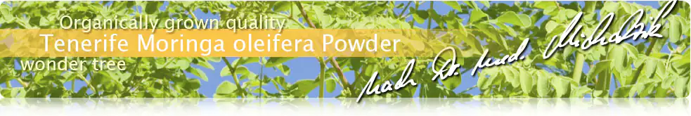 Moringa Tenerife Powder