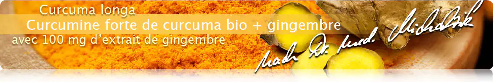 Curcumine forte de curcuma bio + gingembre